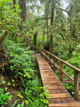 Pacific Rim National Park Reserve of Canada